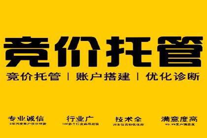 sem托管服务案例：如何实现广告投放精准化